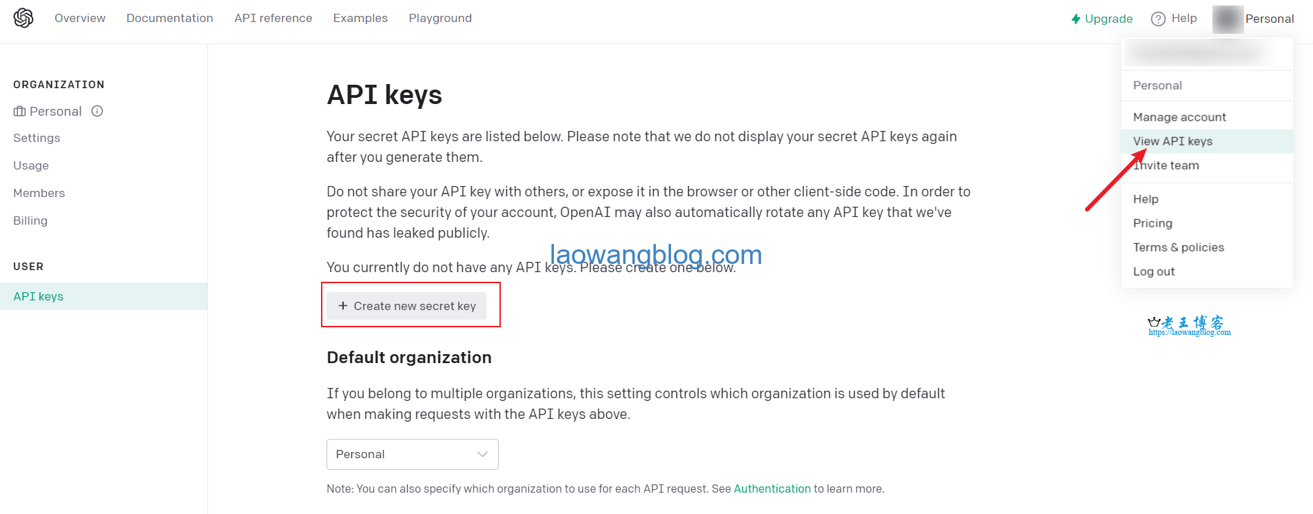 OpenAI ChatGPT API 是什么?如何申请/购买 ChatGPT API key? - 老王博客