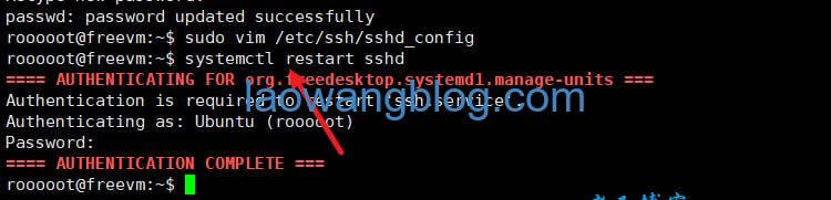 开启 root SSH 登录